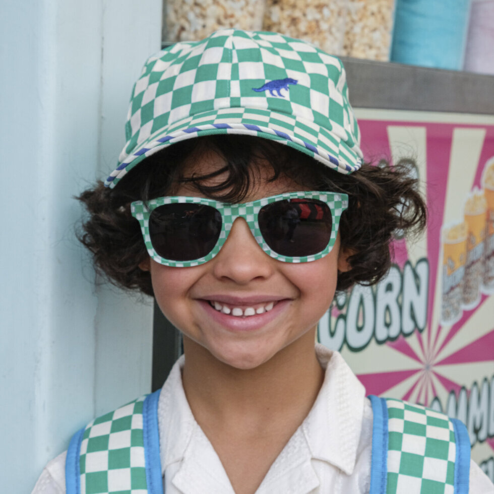 Rockahula Check and Stripe Sunglasses